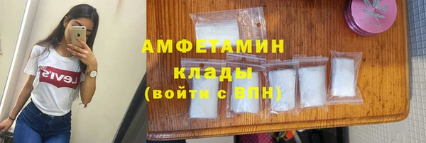 гидра Абаза