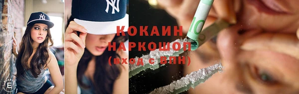 гидра Абаза