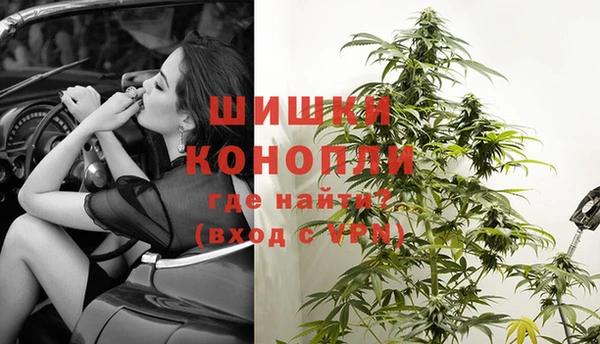 дживик Абинск