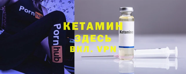 гидра Абаза