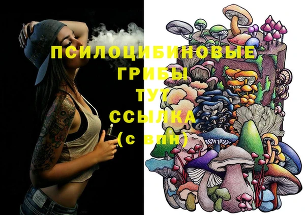 дживик Абинск