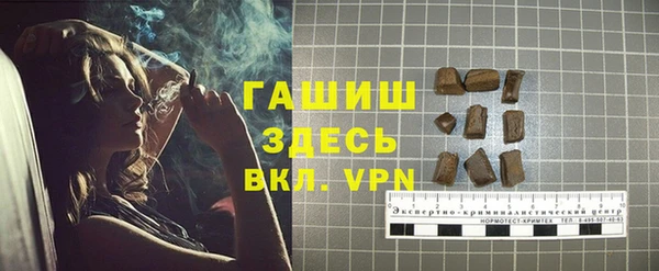 гидра Абаза