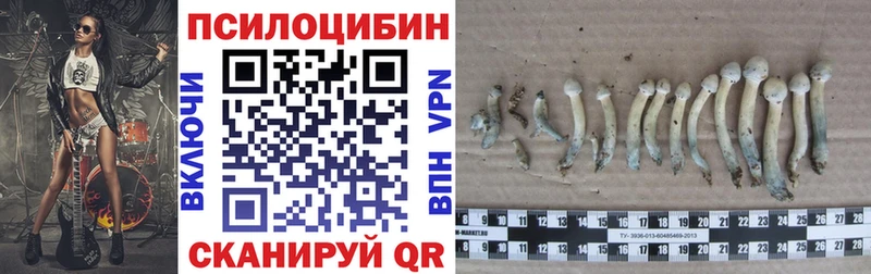 Псилоцибиновые грибы ЛСД  купить  сайты  Копейск 